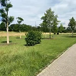 Lieblingsplatz Koblenz (Rhineland-Palatinate)