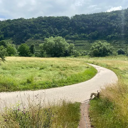 Lieblingsplatz Koblenz (Rhineland-Palatinate)