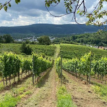 Lieblingsplatz *