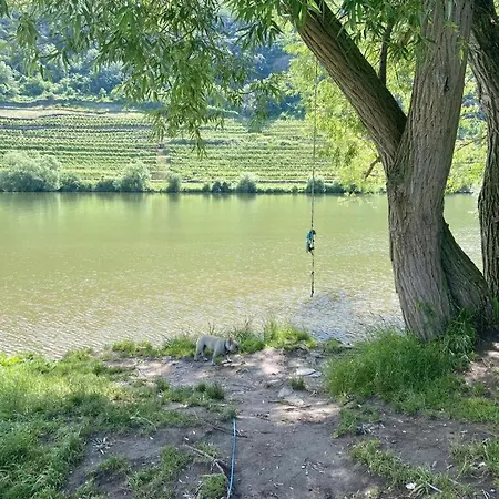 Lieblingsplatz Feriehus *