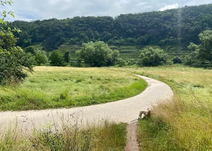 Lieblingsplatz Koblenc